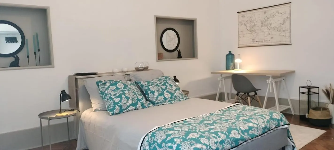 Grand Appartement Hyper Centre Castres 5 Chambres 10 Personnes Castres (Tarn)